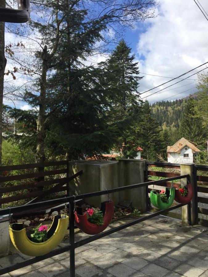 Cameră dublă cu vedere la munte
