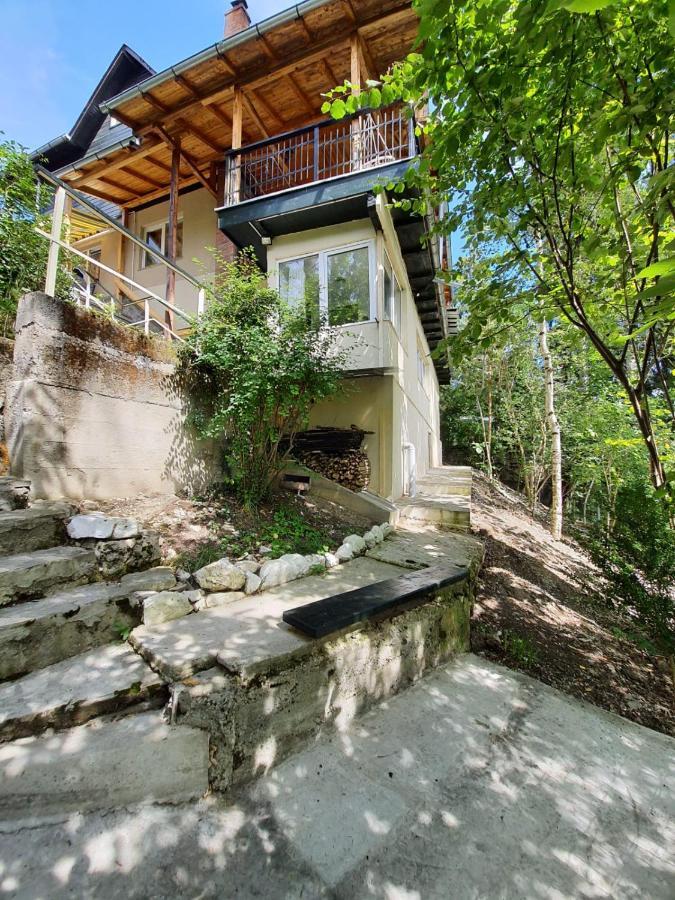 Apartament cu 1 dormitor