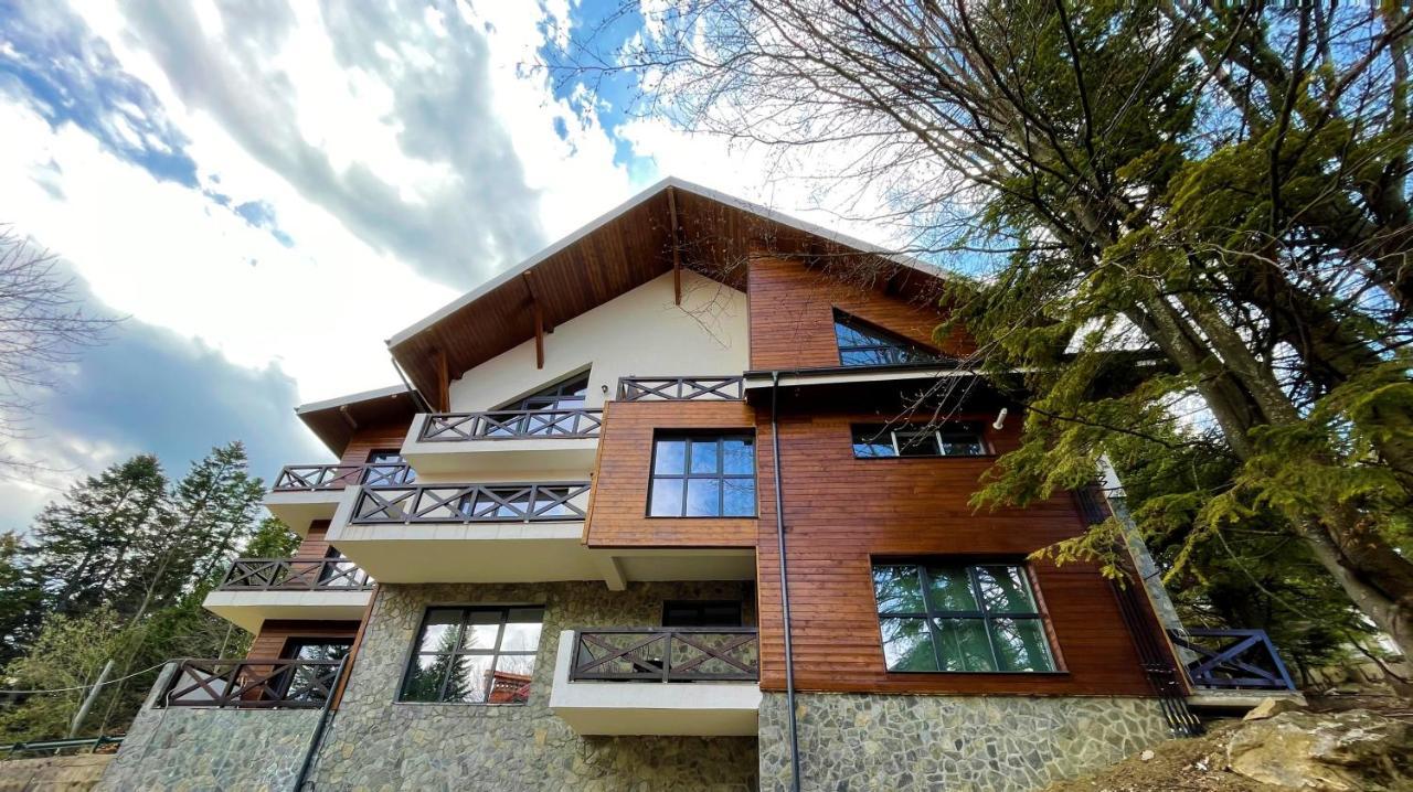 Apartament cu 1 dormitor
