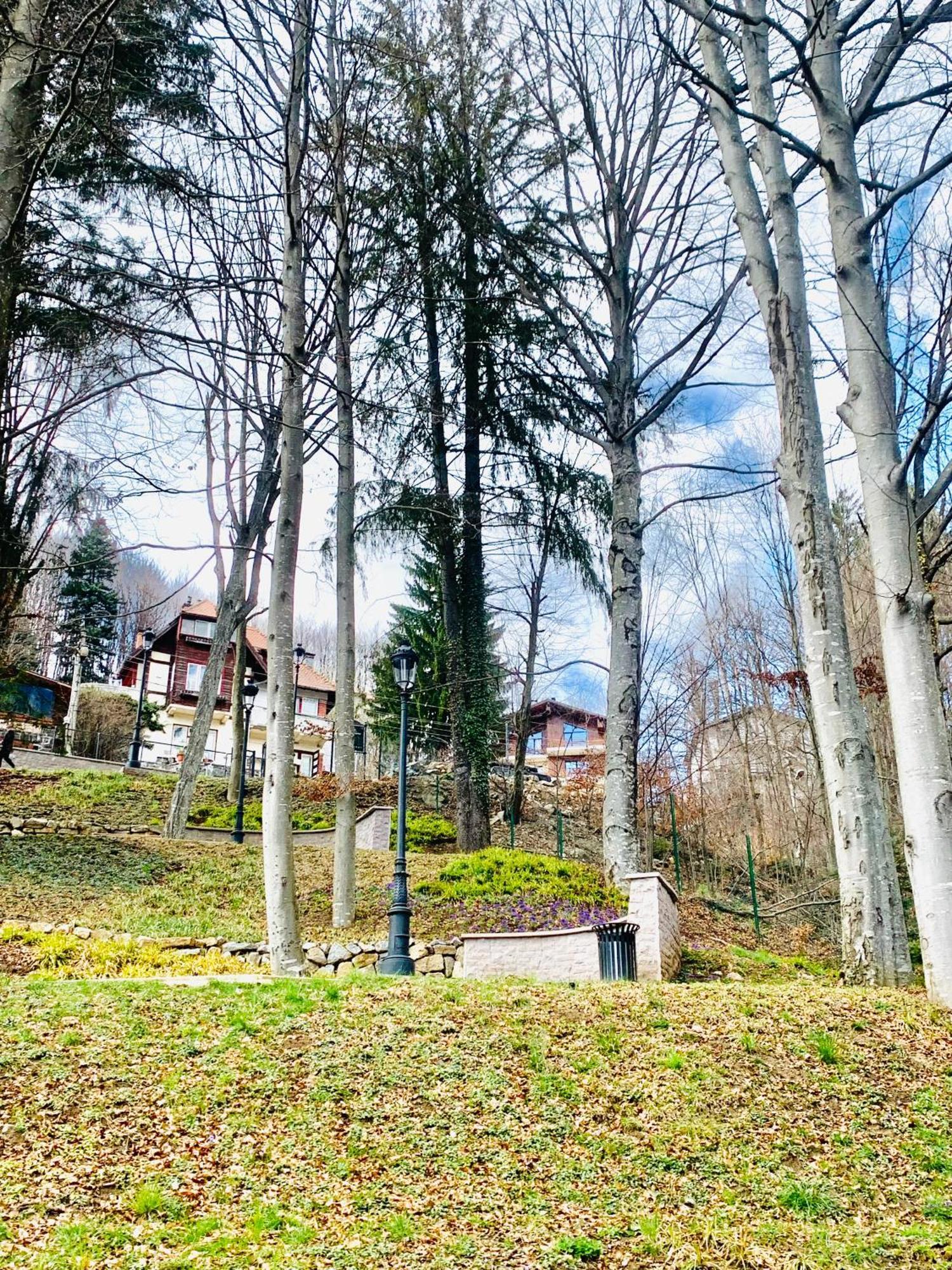 Apartament cu 1 dormitor
