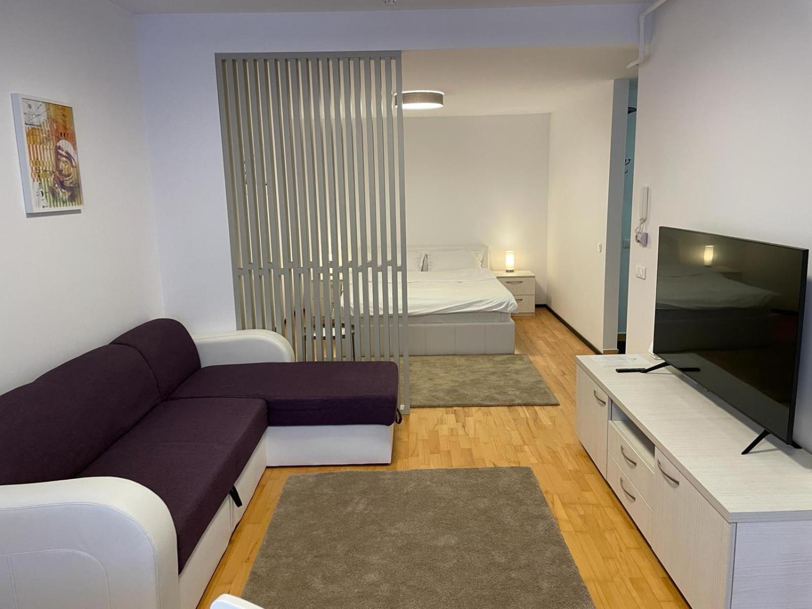 Apartament cu 1 dormitor
