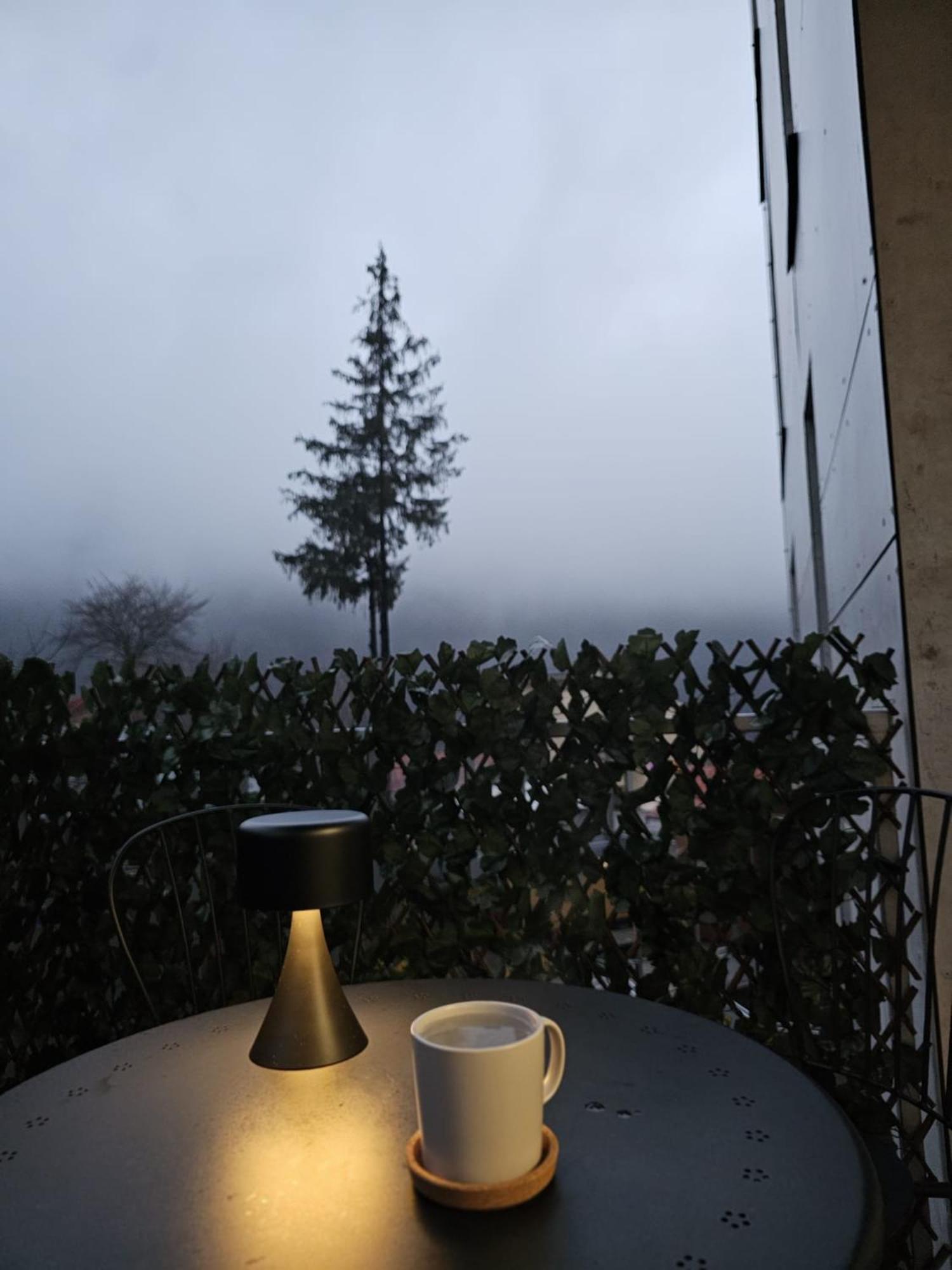 Apartament cu 1 dormitor