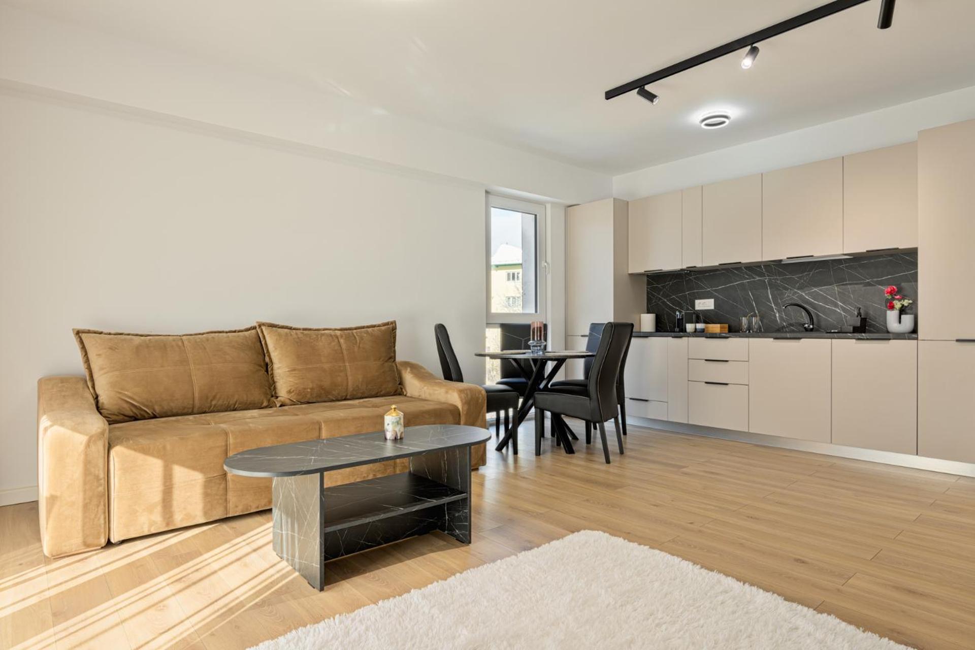 One-Bedroom Apartment (one living room)