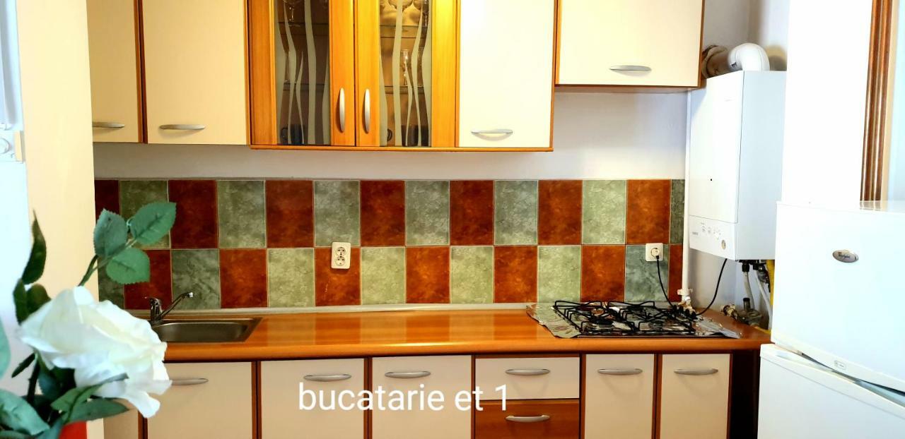 Apartament cu 2 dormitoare (6 adulţi)