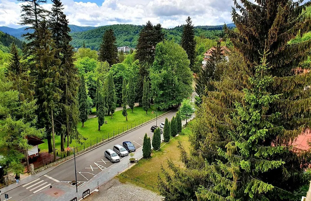 Laura Apartments Sinaia-1