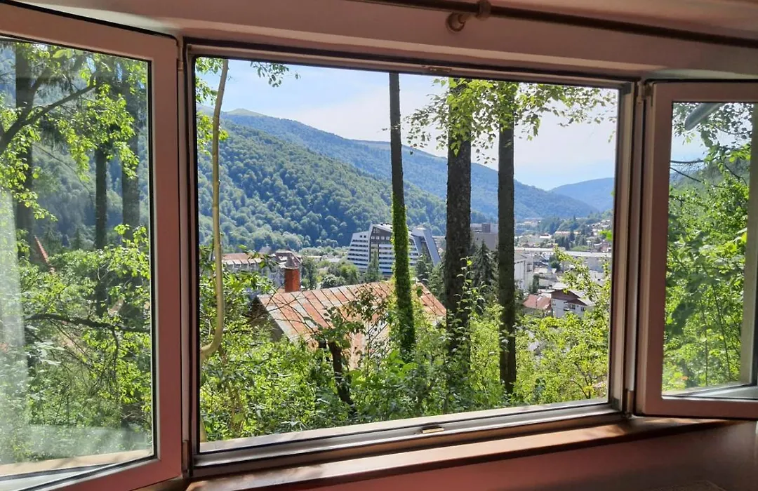 Tudor View Apartament-1