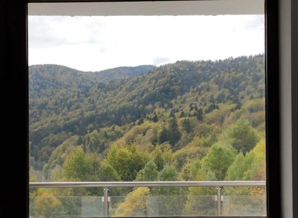Velvet Apartament Sinaia-1