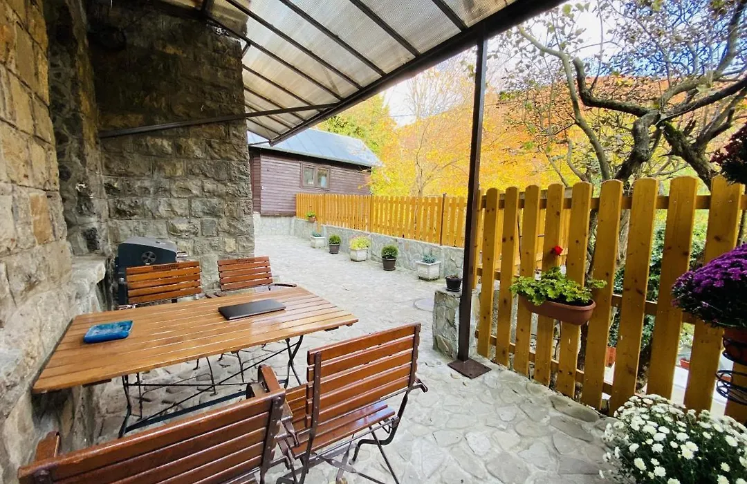 Apartment Carol Private Yard With Barbeque And Parking-1