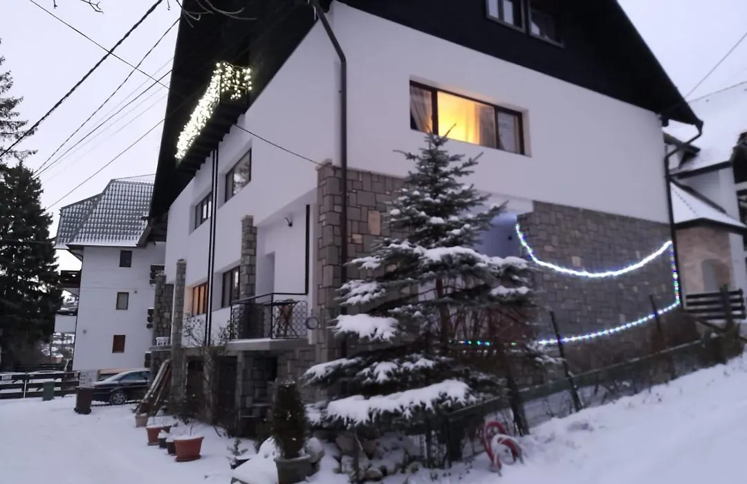 Residence Sinaia Apartments-1