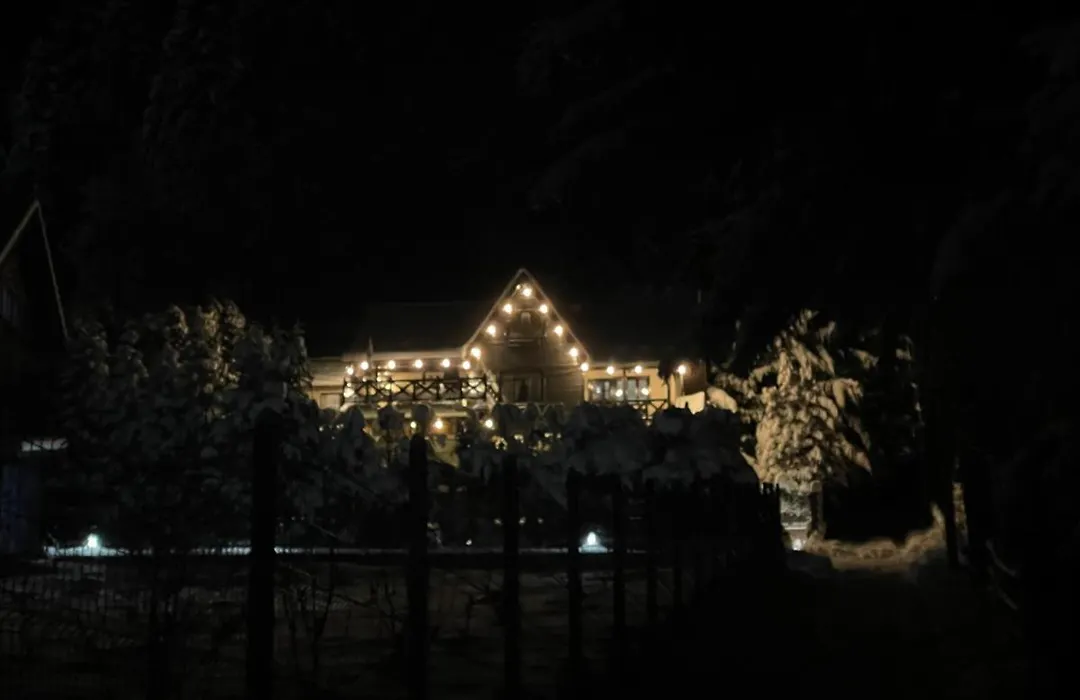 The Nest-1
