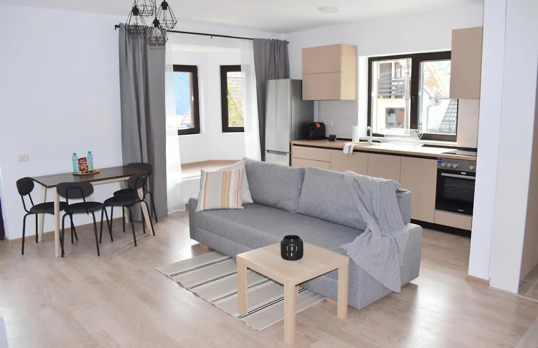 Cosy & Minimalistic Apartments Sinaia - Mountain View & Parking-1