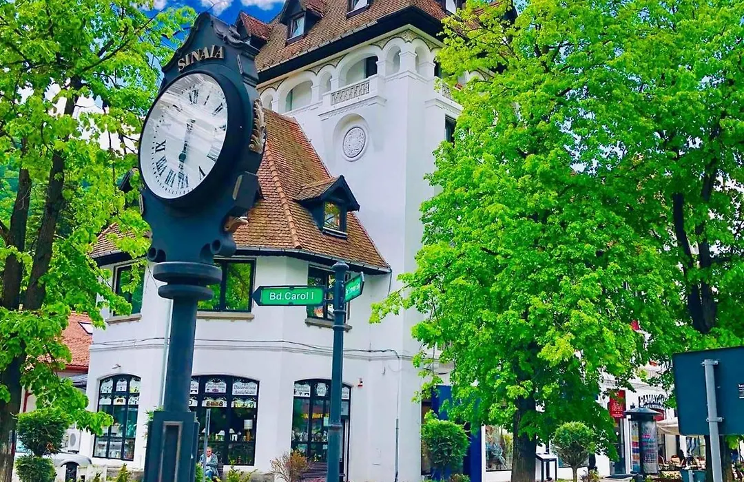 Luna Residence Sinaia-1