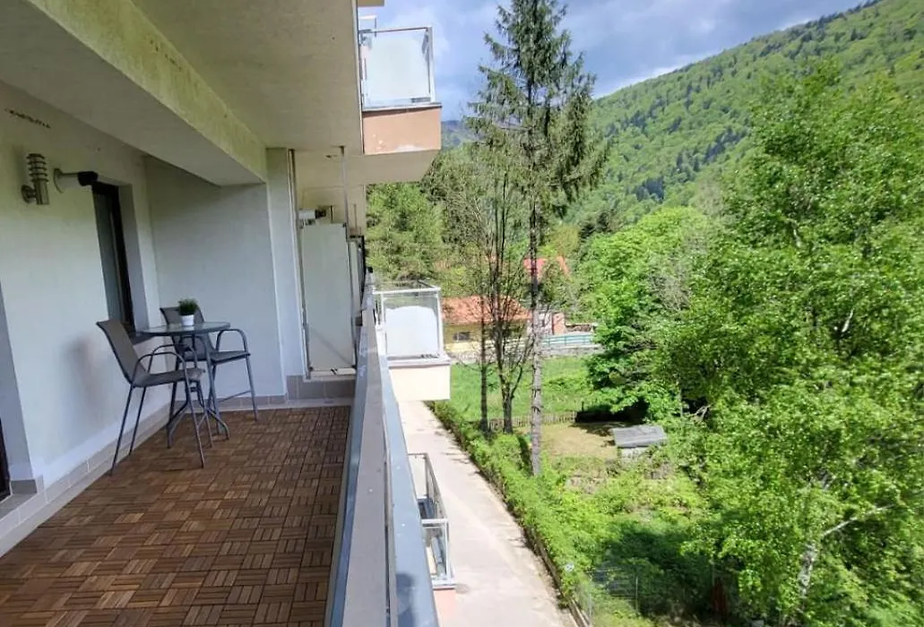 Blue Forest Studio-1