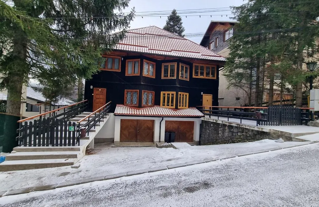 Sporty Mountain Escape Sinaia-1