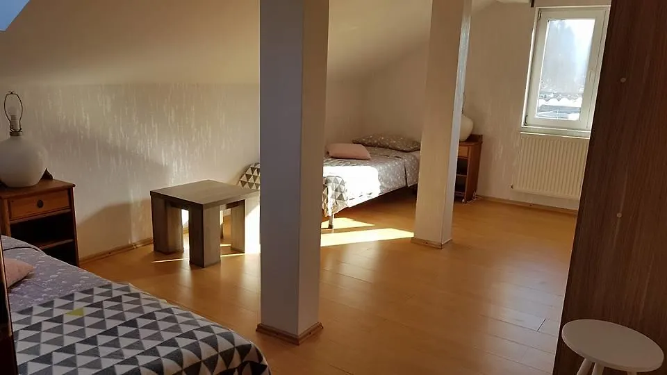 Prahova Valley Apartment-1