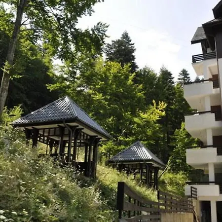 Apartamente 13 Si 16 In Oxygen Residence Sinaia-2