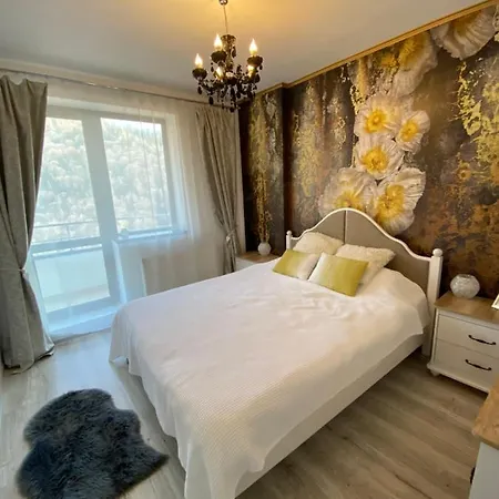 Harmony Apartment Sinaia-3