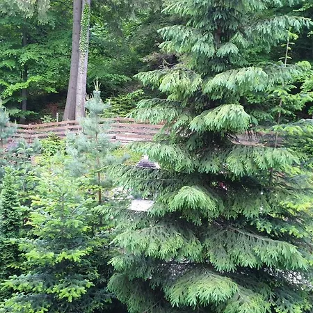 Green View-3