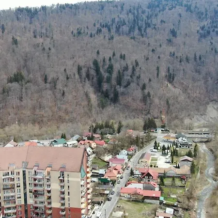 Elite Apartments Sinaia-3