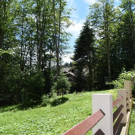 Alpin Residence-2