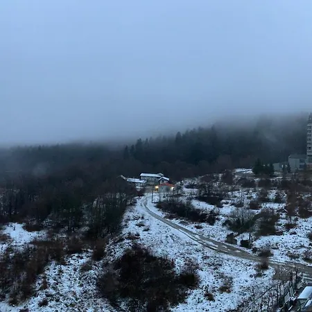 Perfect View-2