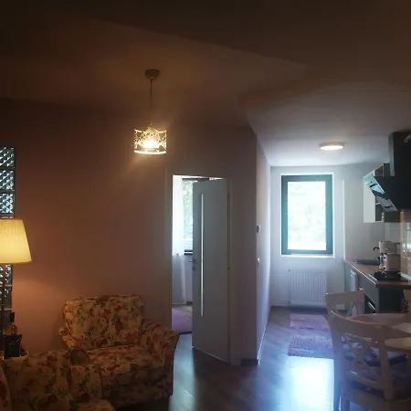 Apartament Dragoste și Lavandă Sinaia-2