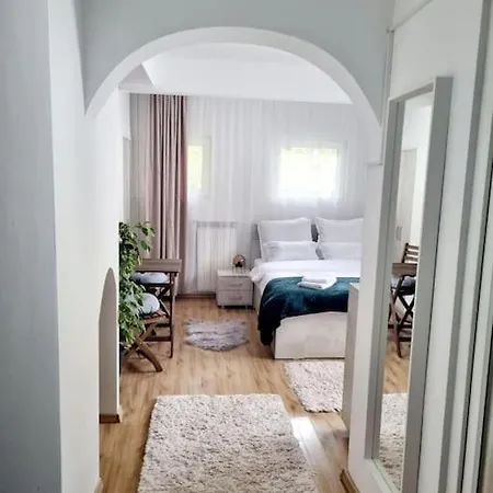 Studio Poema Ultracentral Sinaia-2