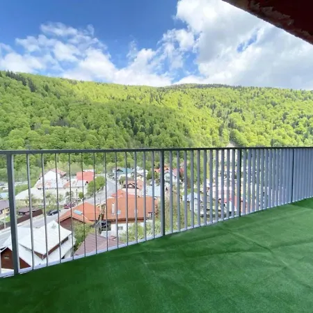 Apartament Panoramic View Sinaia-3