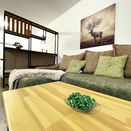 Cozy Bliss Studio In Sinaia W. Free Parking-3