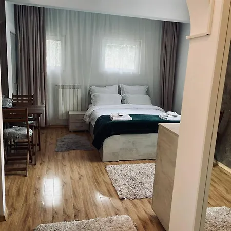Studio Poema Ultracentral Sinaia-3