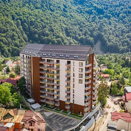 Walter Studio Sinaia With Balcony And Private Parking-2