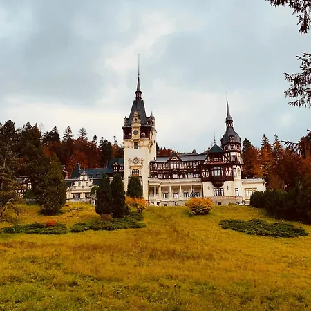 Wood Studio Sinaia-2