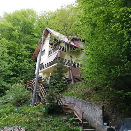 Casa Din Padure-2