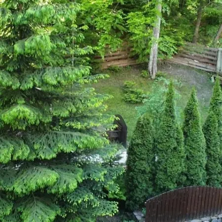 George Apartament Central cu gradina proprie-2