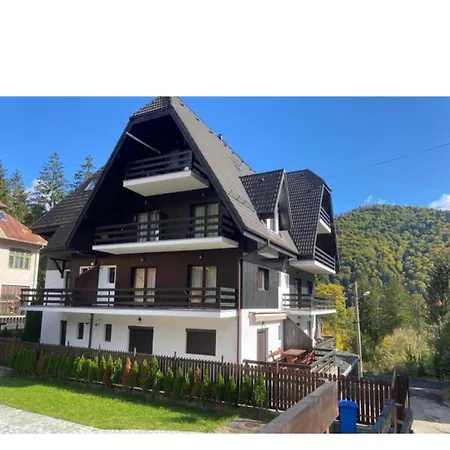 Residence Sinaia Apartment-2