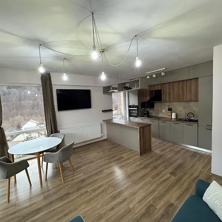4 Seasons Apartment Sinaia-3