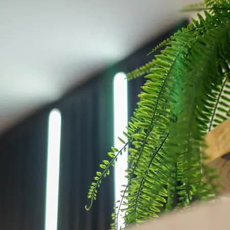 Vav Nest Studio-3