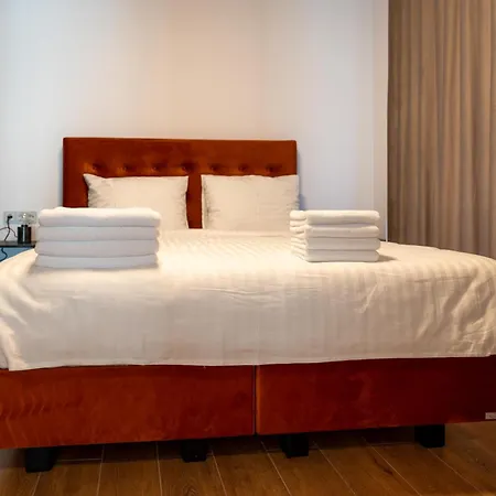 Vila Ferdinand - Apartament Iarina-3