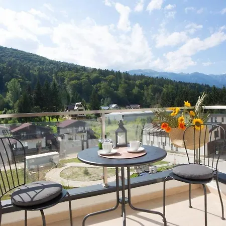 Cozy Nook Sinaia-3