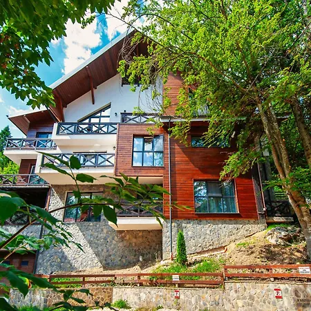 Ama Apartament - Cota 1000 Sinaia-3