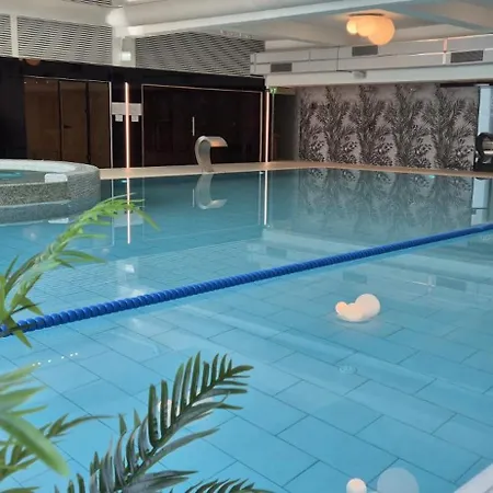 Apartament Erika Sinaia cu acces zona spa contra cost-3