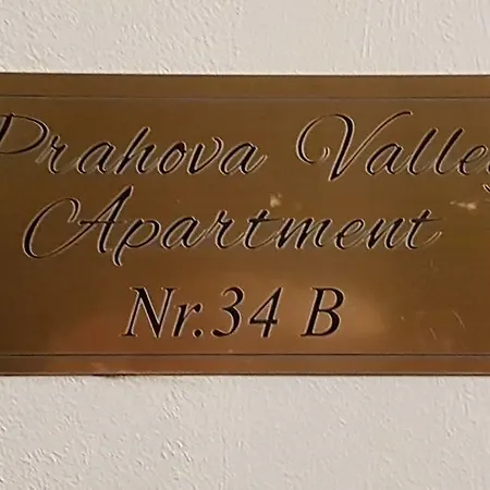 Prahova Valley Apartment-3