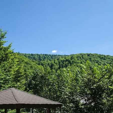 Chez Marcel Sinaia-3
