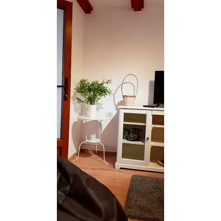 Vaso Apartament-3