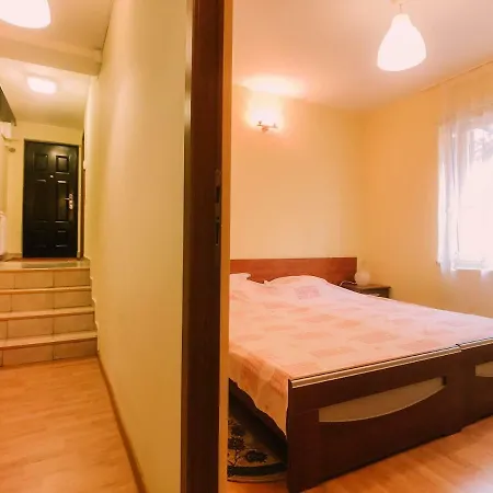 Spacious Apartment Near Peles-2