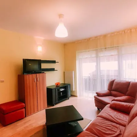Spacious Apartment Near Peles-3