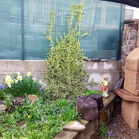 Apartament Rustic-2