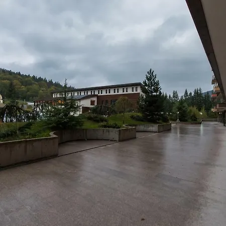 Studio 36 - Colina Marei-3