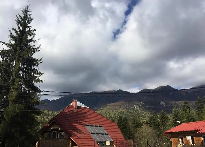 Kalmia Studio Apartment Sinaia