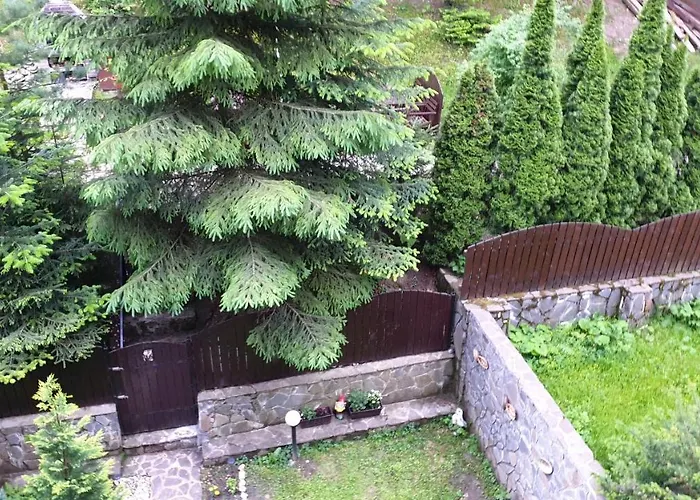 Green View Sinaia